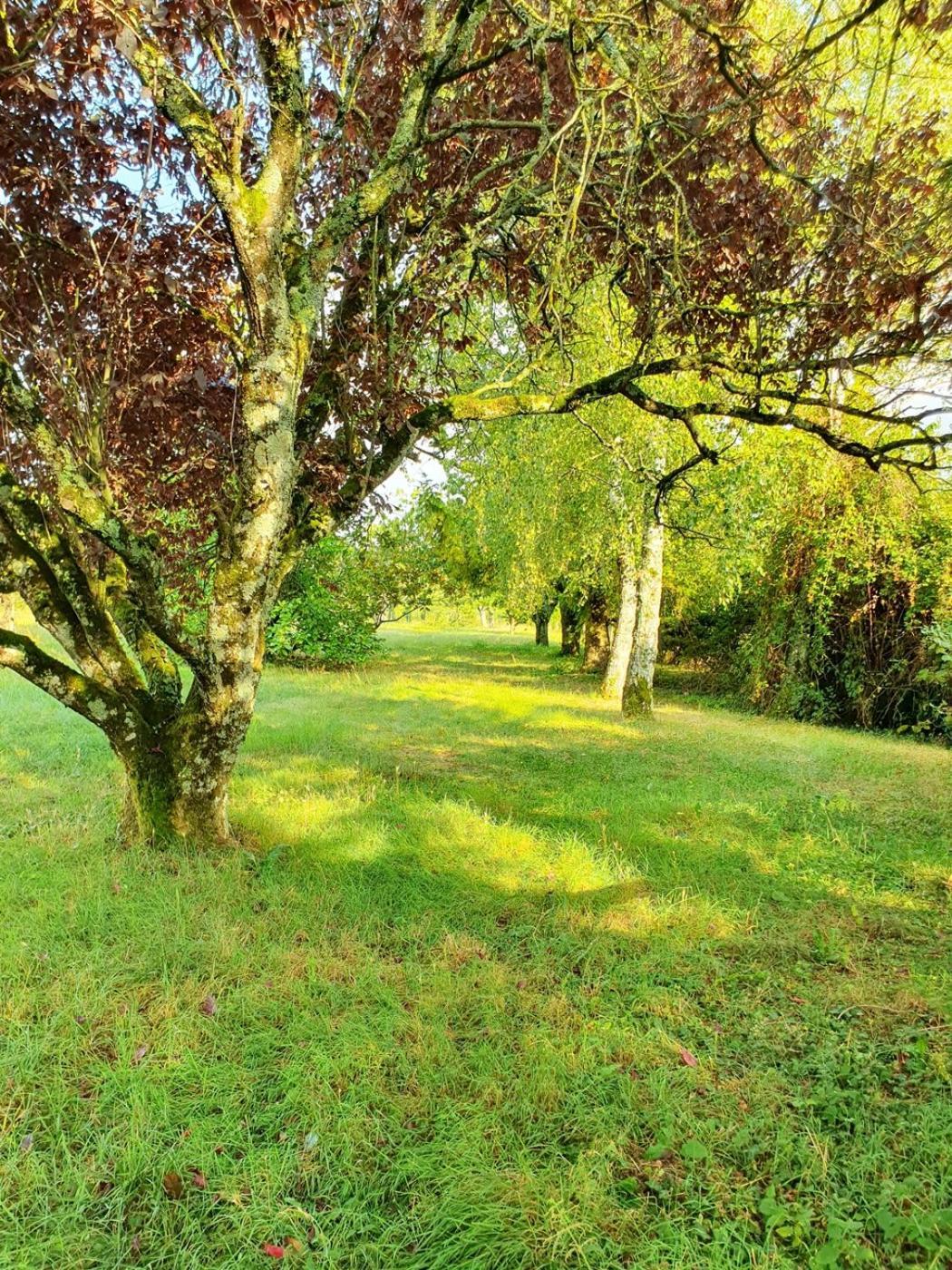 Le Clos Violet Clesse Holiday Home For 6 ภายนอก รูปภาพ